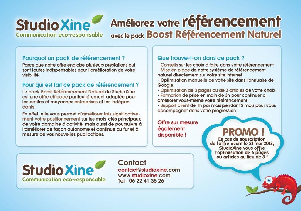 pack-referencement-site-web